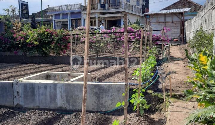 DIJUAL TANAH PEKARANGAN SUBUR DI BATU