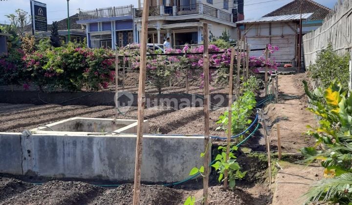DIJUAL TANAH PEKARANGAN SUBUR DI BATU