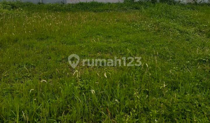 Dijual: Tanah Matang Di Cijerah