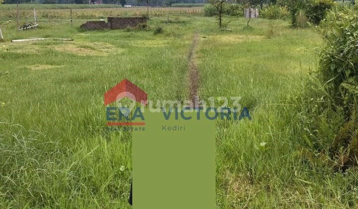 Tanah Murah Di Gurah Kediri