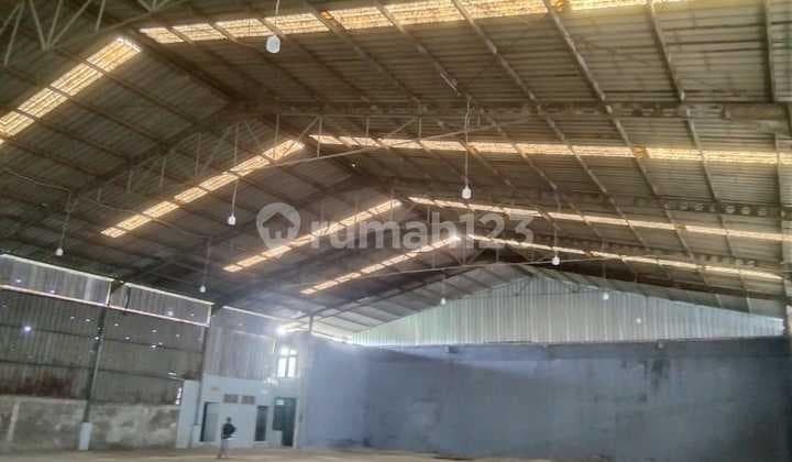 Disewakan Gudang Bagus Primary Daan Mogot