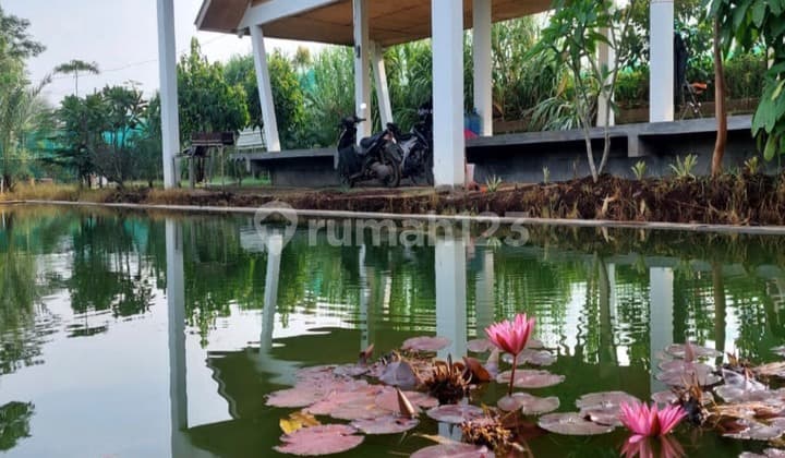 Villa & Tempat Wisata di Jual Murah di Daerah Bandung