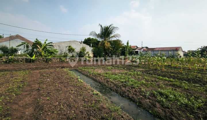 Tanah Residensial 2550 M Alamanda Residence Tambun, Bekasi
