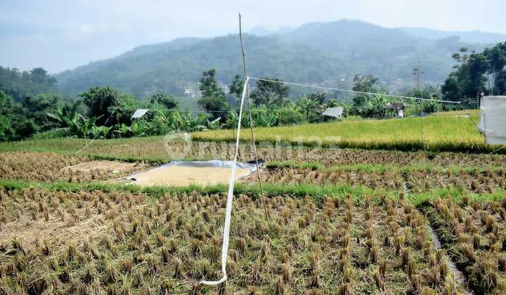 Dijual Tanah Sawah Di Mainroad Jl.Provinsi Soreang Ciwidey