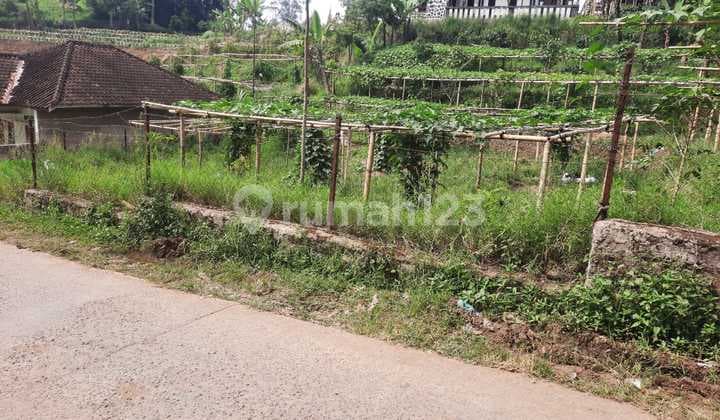 Dijual Kaveling Siap Bangun Mainroad Lebak Muncang, Ciwidey