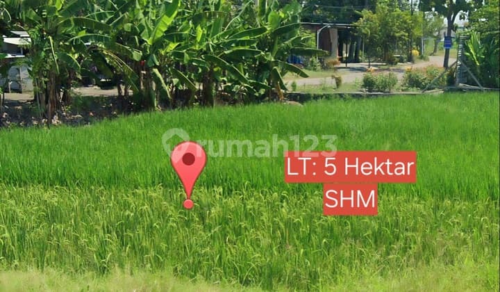 Tanah Sawah Lokasi Dekat Damarsi Residence
