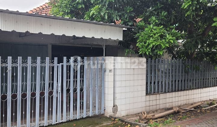 Rumah Lama di Manyar Tirtoyoso Dekat Petra