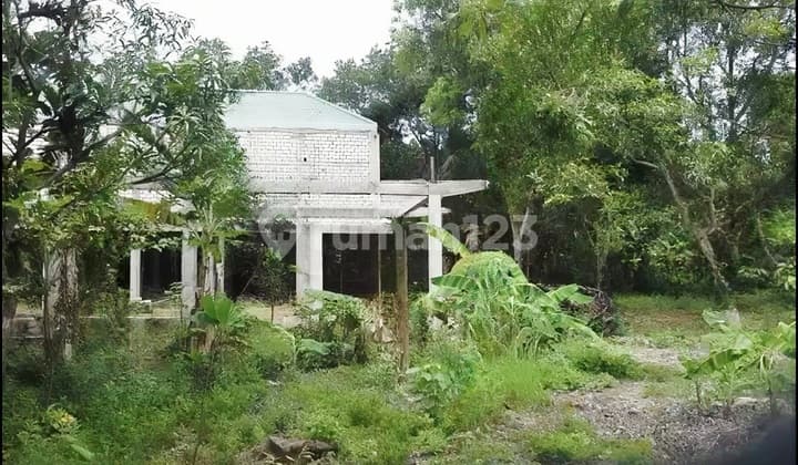 Tanah Lahan Lapangan Olah Raga 0 Raya Domas