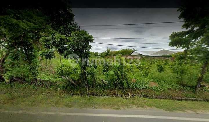 Tanah Samping Pabrik Sampurna Raya Pantura Tuban