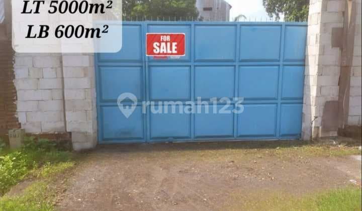 Gudang Dan Tanah Luas Daerah Kaliteluh Bangil Pasuruan