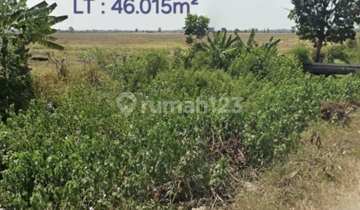 Tanah Ijin Industri Siap Bangun Pabrik Dekat Bandara Kerjati