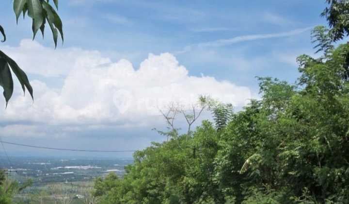Disewakan Tanah Di Ngempal Tutur Pandaan Pasuruan