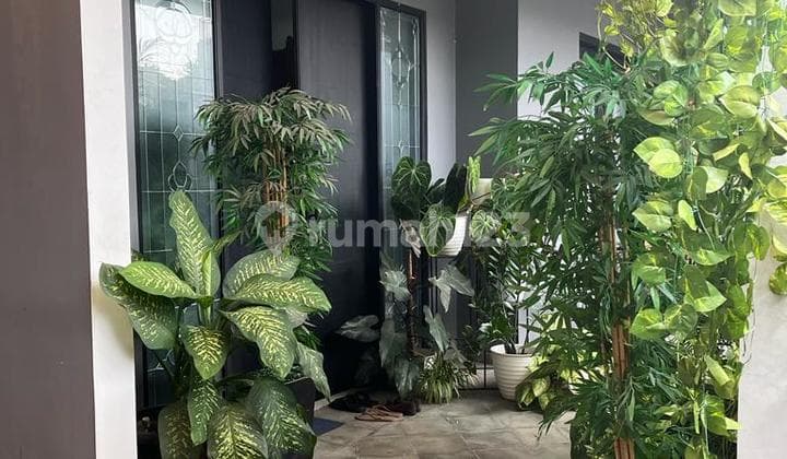Rumah Dijual Area Jeruk Purut, Jakarta Selatan