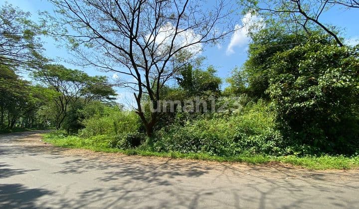 Land for Sale 10 Hectares in Sentul City