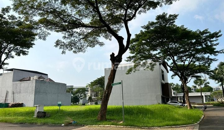 Kavling Scarlet Hoek Jalan Utama | 558m² Kavling Scarlet Hoek Jalan Utama | 558m²