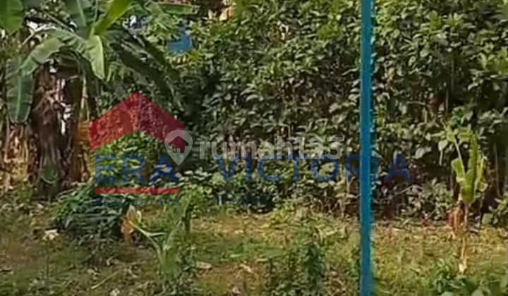 Tanah SHM di Kandangan Pare