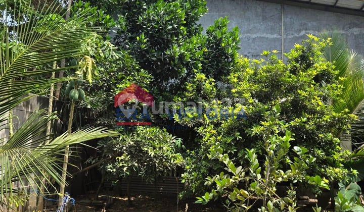 Dijual Tanah di Ds Ketami Kota Kediri Sudah Ditembok Pagar Keliling Ada Aliran Listrik dan Air 5 menit ke Simpang Lima Gumul, RSUD SLG, 12 menit ke pusat Kota Kediri