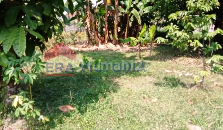 Tanah di Ngasem, Kediri SHM 265 m²