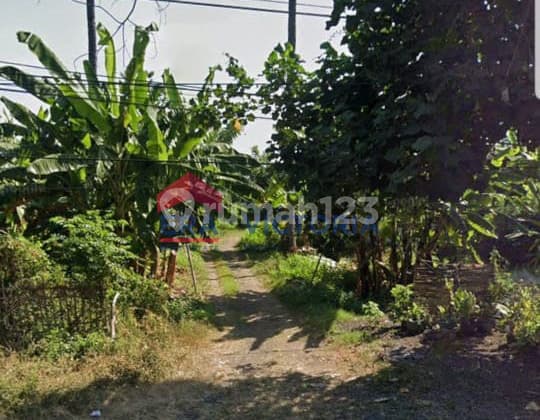 Dijual Tanah Cocok untuk Usaha Tambak, Posisi di Pesisir Pantai Pasir Putih, Bungatan Situbondo
