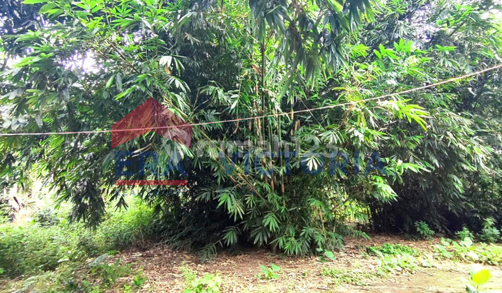 Tanah di Tugurejo Ngasem Kab Kediri 3 Menit Dari Puskesmas