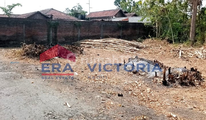 Dijual Tanah Kademangan Blitar Terletak di Belakang SMK 1 Kademangan 500m Dari Jalan Antar Kota Dalam Provinsi Dekat Dengan Pasar Kedemangan