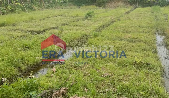 Dijual Tanah di Ds Sambirejo Kediri 6 menit ke RS Aura Syifa, 7 menit ke Pusat Oleh-Oleh Kediri, 13 menit ke Simpang Lima Gumul