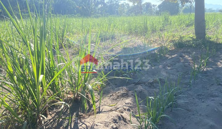 Jual Tanah 14440 m2 SHM Ngancar, Kediri Akses Jalan Aspal