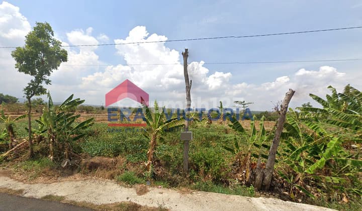 Jual Tanah 2666 m2 SHM di Jalan Utama Ngetos, Nganjuk