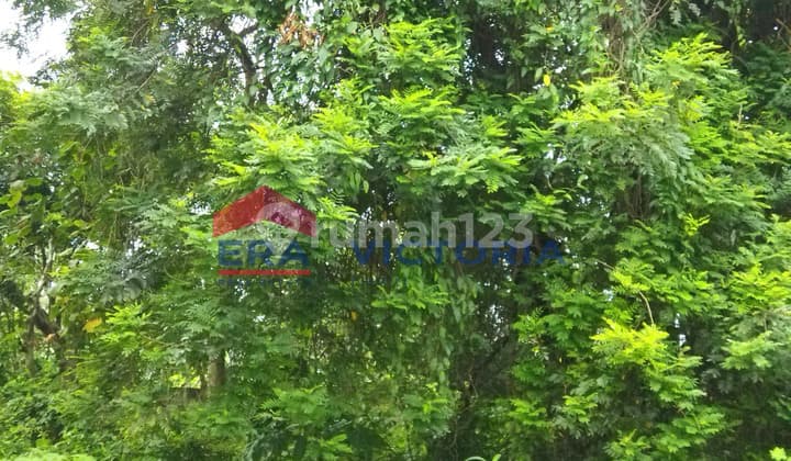 Dijual Tanah di Bandar Kidul 5 Menit Dari Rsud Kilisuci, Iik & Smk Bhakti Wiyata, Pasar Bandar