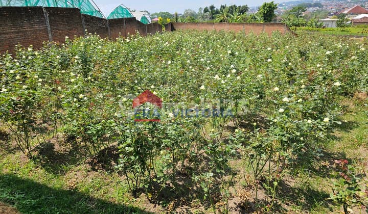 Dijual Tanah di Bumiaji Kota Batu Cocok Untuk Perkebunan, Cafe, Vila 5 Menit Ke Alun Alun Kota Batu