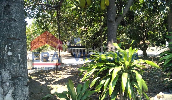 Tanah 504 m2 SHM di Jalan Poros Sukomoro, Nganjuk