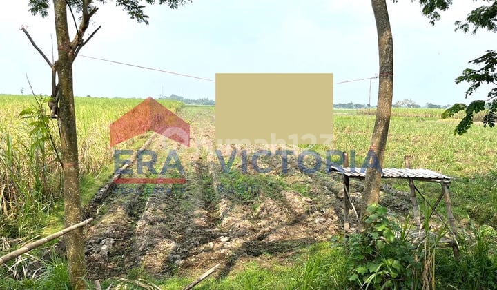 Tanah Lokasi Strategis Jalan Utama Ds Wonokerto Wates