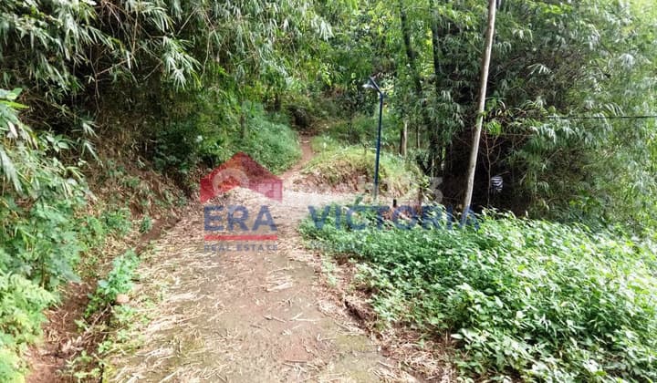Dijual Tanah di Desa Selopanggung Kec. Semen Kab. Kediri Ada Tanaman Pohon Jati Siap Panen Dekat Kantor Desa, Sekolah Dasar