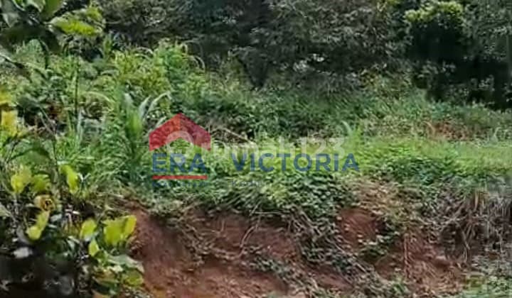 Jual Tanah 1508 M2 SHM Semen, Kediri Posisi Berhadapan