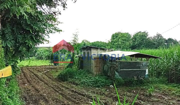 Dijual Tanah Sawah + Bangunan 12 m2 Kerkep Gurah Kediri Area Sekitar Tempat Wisata Sumber Toto, 2 Menit ke RSM Siti Khodijah, SDN Kerkep & SDN Sukorejo, 5 Menit ke Mini market