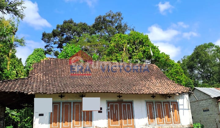 Jual Tanah 3310 M2 SHM Kras, Kediri Lingkungan Asri & Sejuk