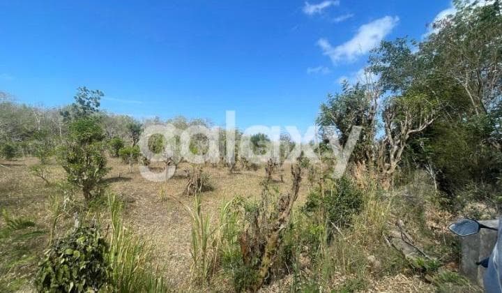 COMMERCIAL LAND BELAWAH KANGIN PECATU BADUNG, BALI