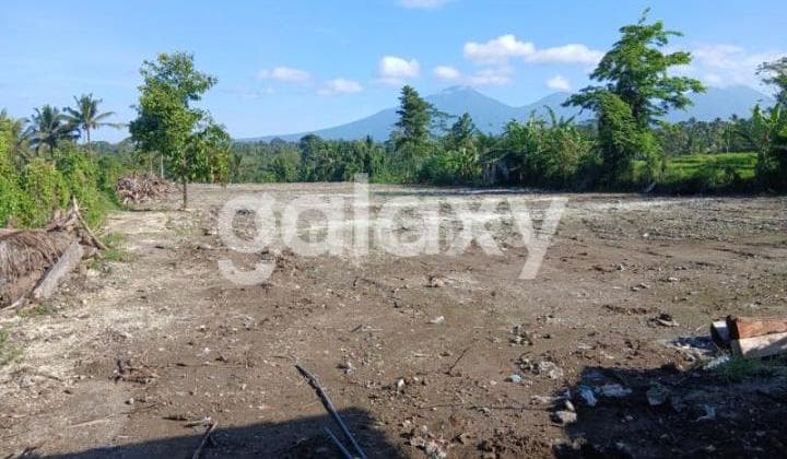 TANAH BONUS BANGUNAN DI PEREAN KLOD BATURITI TABANAN, BALI