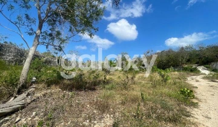 COMMERCIAL LAND BELOW KANGIN PECATU BADUNG, BALI