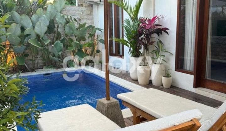 Villa Bagus 1 Floor in Sri Padang Kerta Sanur Denpasar, Bali
