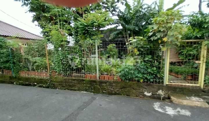 Tanah Darat Bebas Banjir Di Cendrawasih Pesanggrahan Jaksel