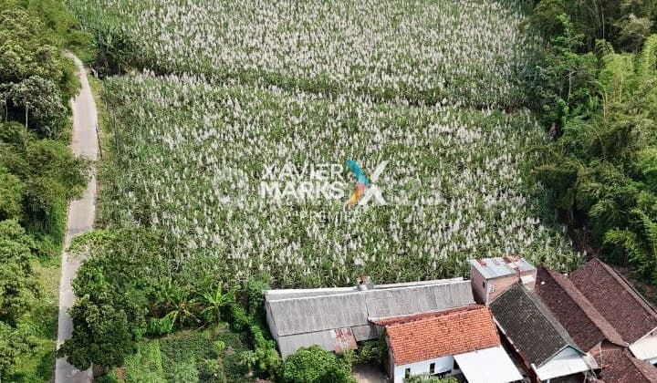 DIJUAL KAVLING TANAH SUPER LUAS DI DAERAH SINGOSARI, MALANG