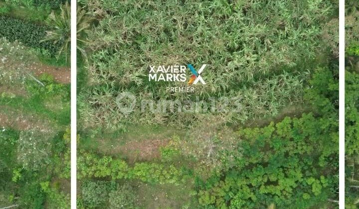 Tanah Kavling di Daerah Petungsewu, Wagir, Kabupaten Malang