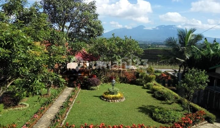 * Beautiful Villa, Serene, Fresh Air in Nyalindung, Sukabumi