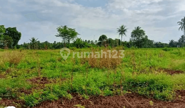 Dijual Tanah SHM di Cipetir Kuningan - Cocok Perkebunan, Akses Jalan Sendiri