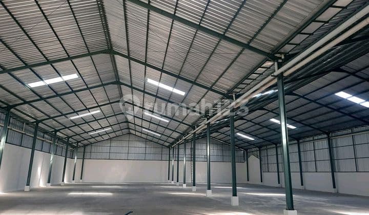 Warehouse in Noborejo