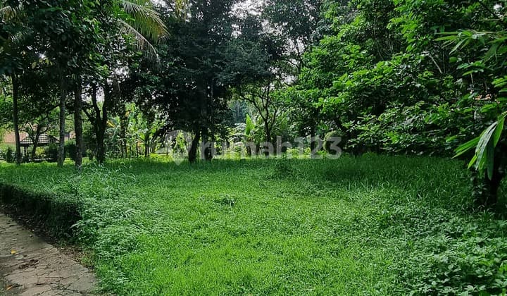 Tanah 4.2 ha di Parung, cocok untuk perumahan/wisata kuliner