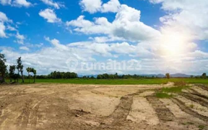 Industrial Land For Sale In The Smartpolitan Subang Industrial Area, West Java