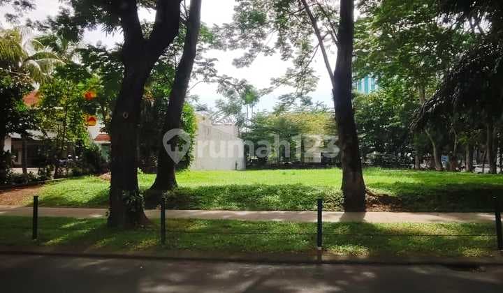 Disewakan Kavling Komersial Seberang Flavour Bliss di Alam Sutera