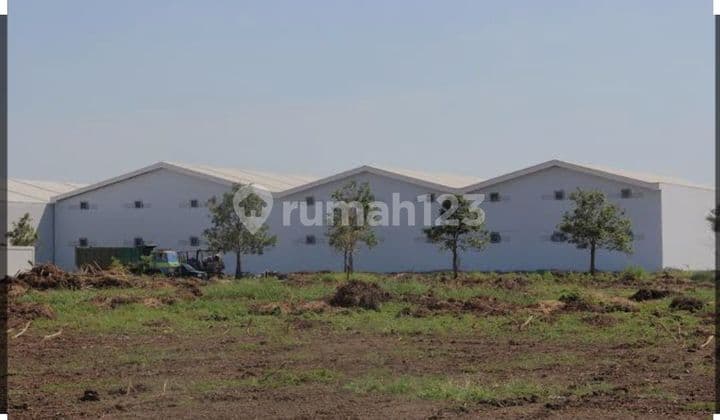 KAVLING IJIN INDRUSTRI DI LKSANABUSINERS PARK DEKAT PIK 2 DKT TOL